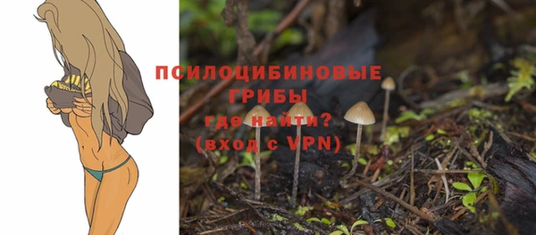 стаф Волоколамск