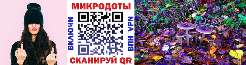 Галлюциногенные грибы MAGIC MUSHROOMS Печоры
