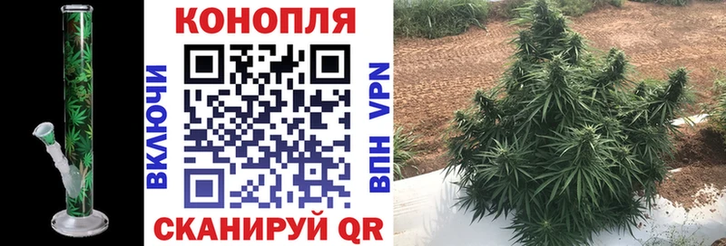купить закладку  кракен ссылки  сайты даркнета формула  Печоры  МАРИХУАНА Amnesia 